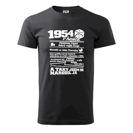 1954 v kostce