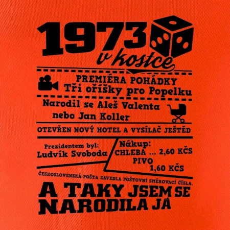 1973 v kostce
