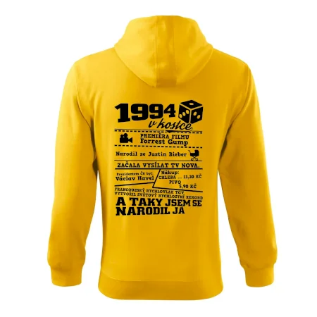 1994 v kostce
