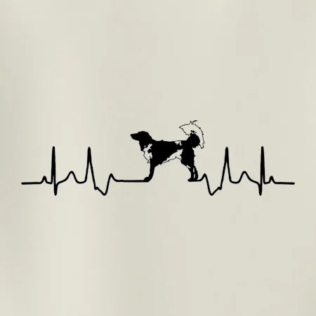 Český strakatý pes EKG