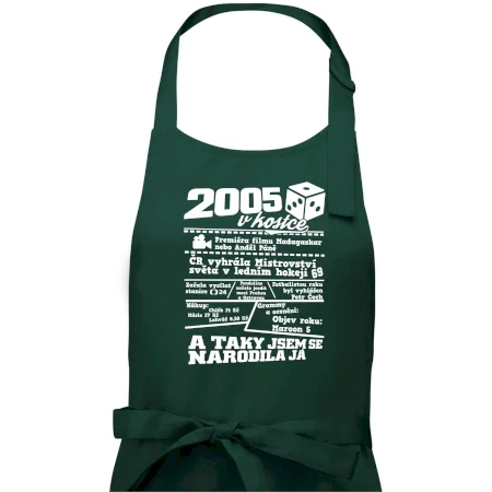 2005 v kostce