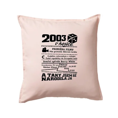 2003 v kostce