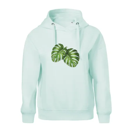 Monstera - dva listy