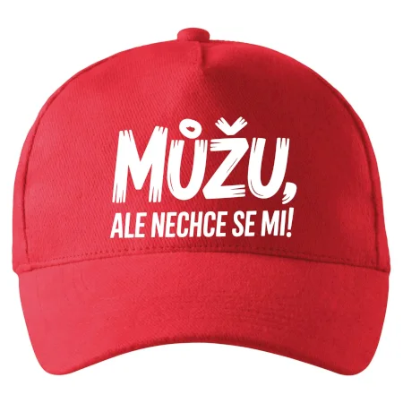 Můžu, ale nechce se mi