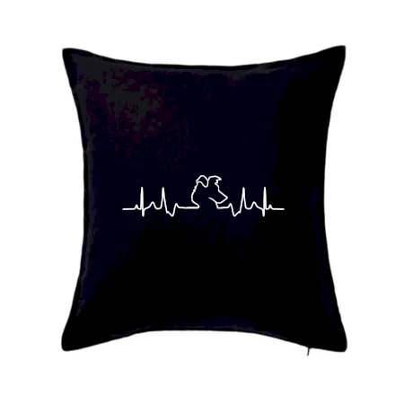 Border kolie EKG