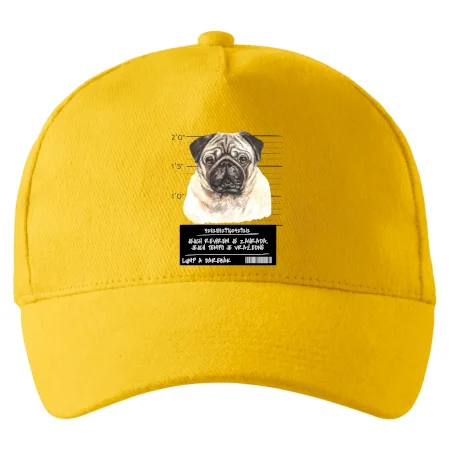 Lump a darebák mopsík