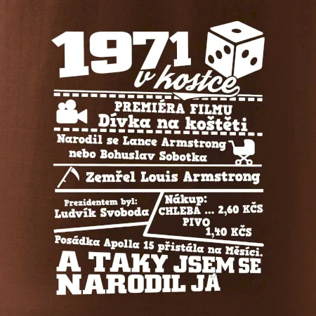 1971 v kostce