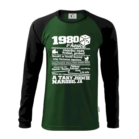 1980 v kostce