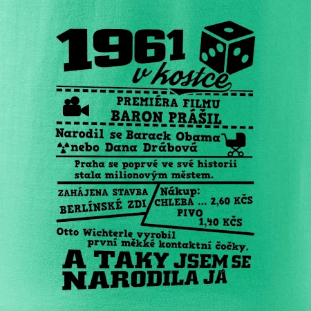 1961 v kostce