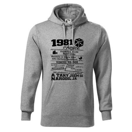 1981 v kostce