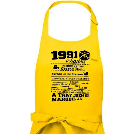 1991 v kostce