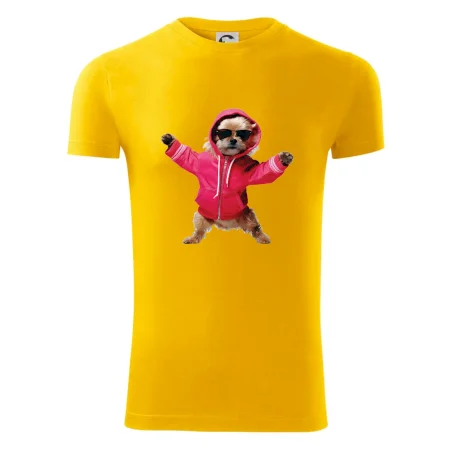 Yorkšír v mikině