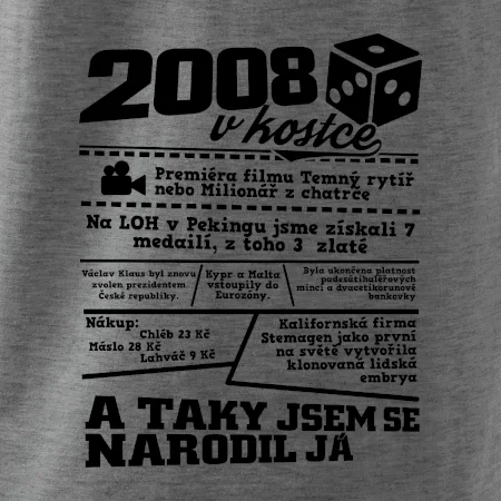 2008 v kostce
