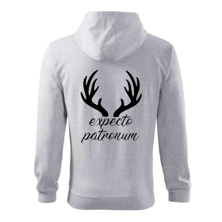 Harry - Expecto patronum