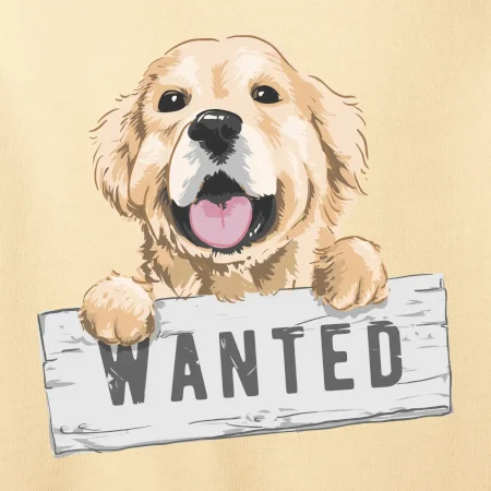 Zlatý retriever - štěně wanted