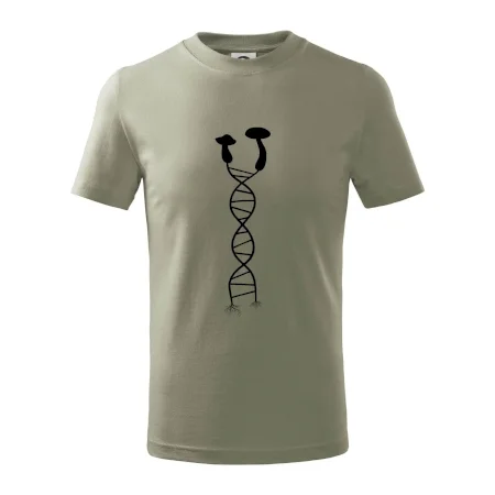 DNA houby