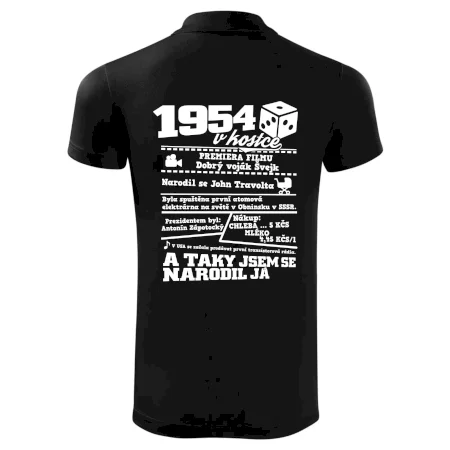 1954 v kostce