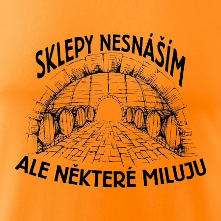 Nesnáším sklepy