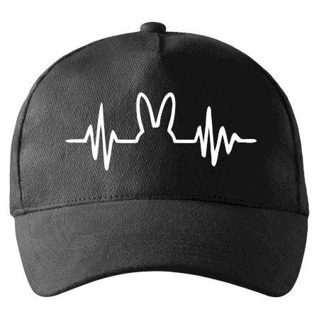 EKG zajíc