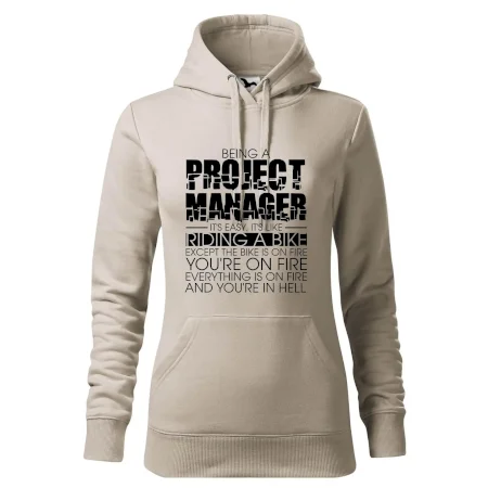 Being A Project Manager - bike