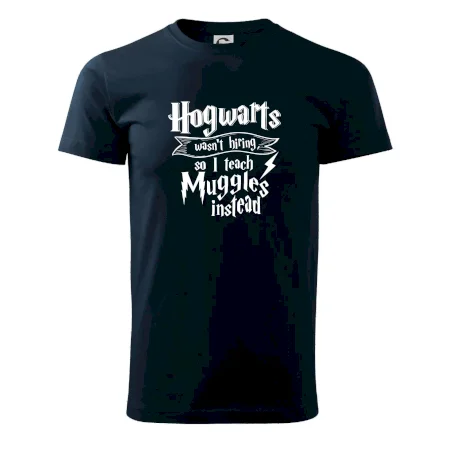 Harry - Hogwarts wasn’t hiring, so I teach Muggles instead