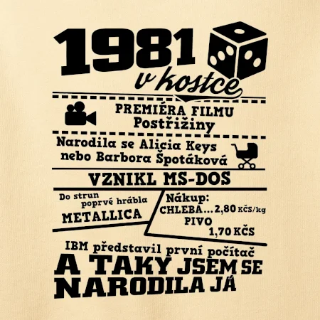 1981 v kostce