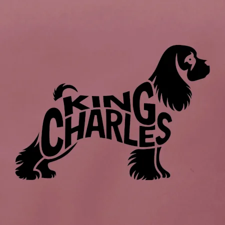 Kavalír king Charles španěl nápis v těle