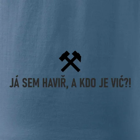 JÁ SEM HAVIŘ, A KDO JE VIĆ?!﻿