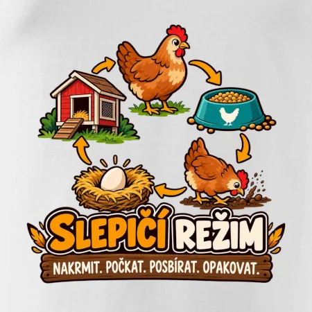 Slepičí režim od krmení po sběr vajec