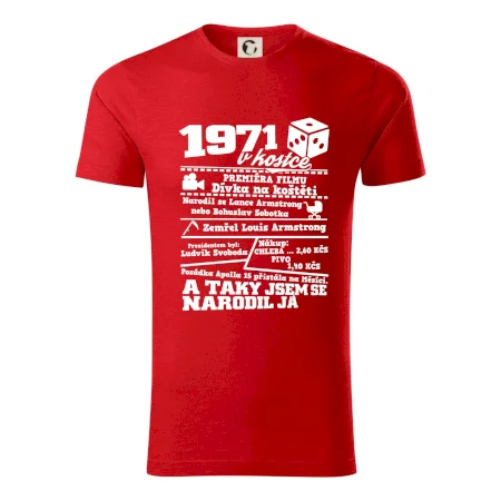 1971 v kostce