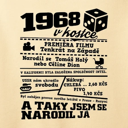 1968 v kostce