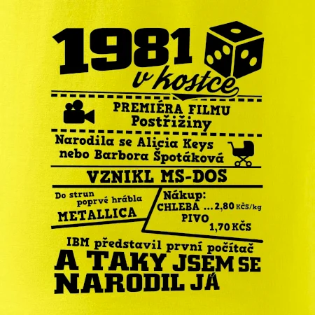 1981 v kostce