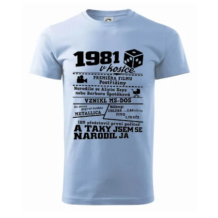 1981 v kostce