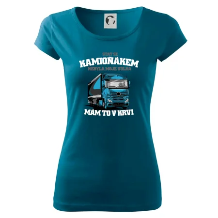 Stát se kamioňákem nebyla moje volba