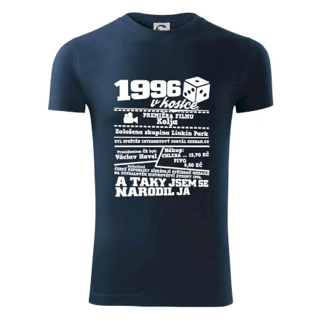 1996 v kostce