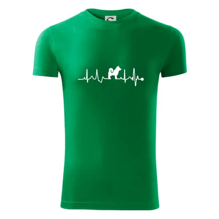 Shiba-Inu EKG