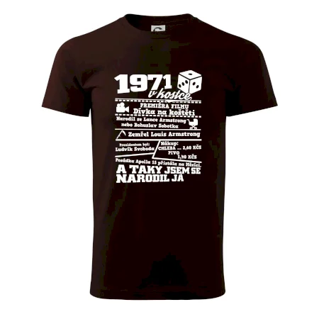 1971 v kostce