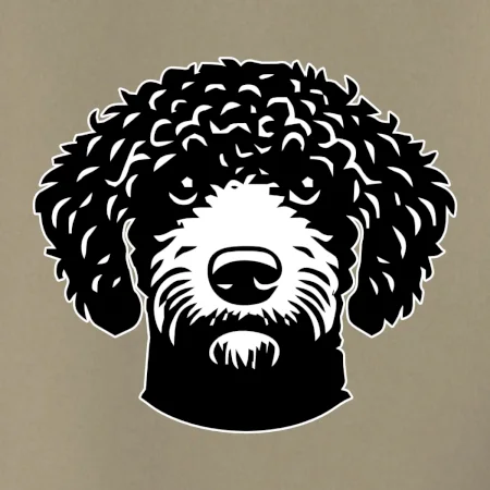 Lagotto romagnolo hlava na prsu