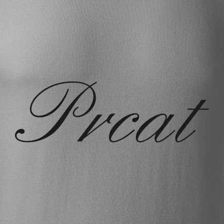 Prcat (souložit vulgárně)