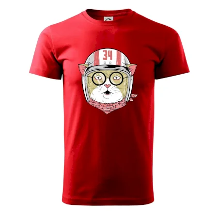 Moto kočka