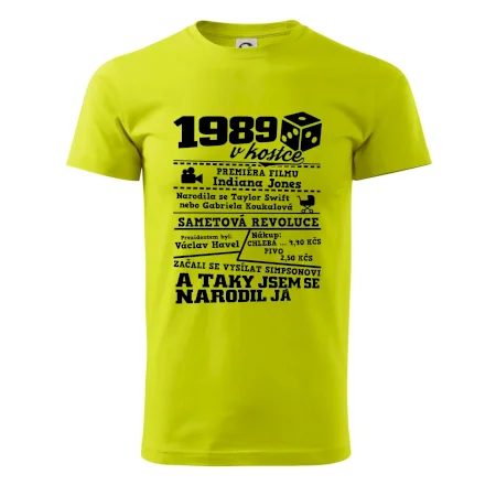 1989 v kostce