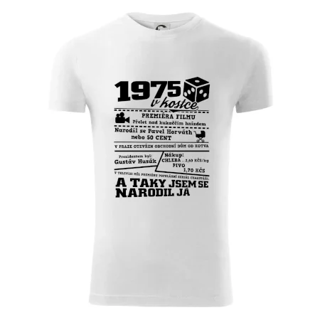 1975 v kostce