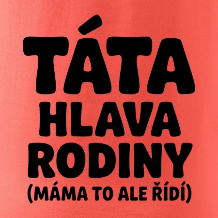 Táta - hlava rodiny  (máma to,  ale řídí)