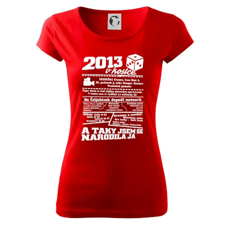 2013 v kostce