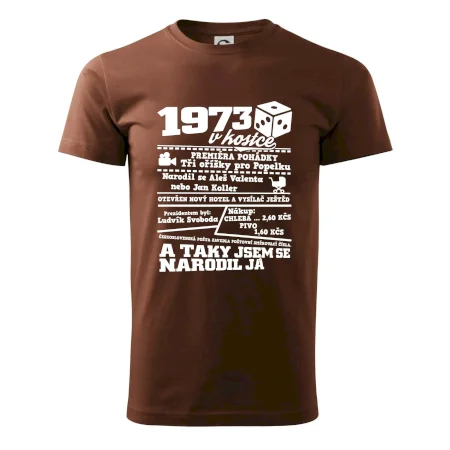 1973 v kostce