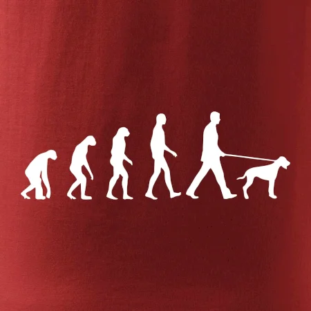 Evoluce pes ohař