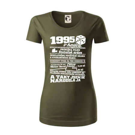 1995 v kostce