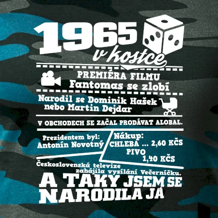 1965 v kostce