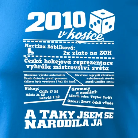 2010 v kostce