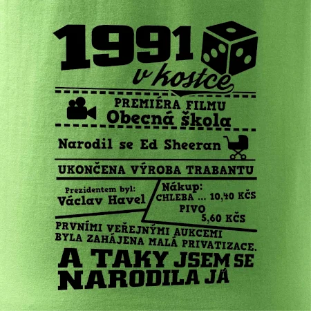 1991 v kostce